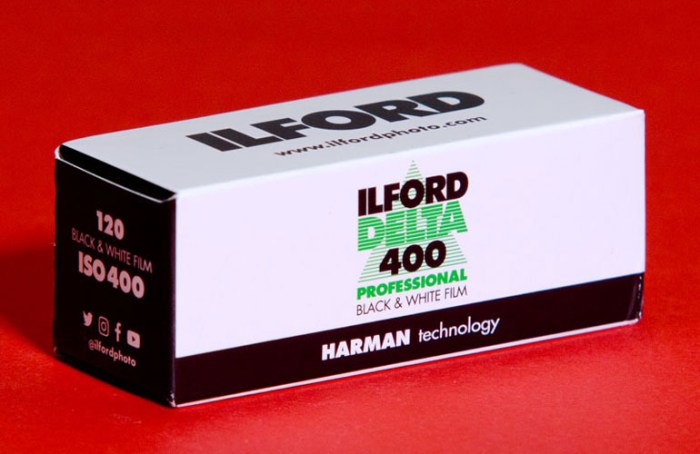 ilford-delta-400-1208