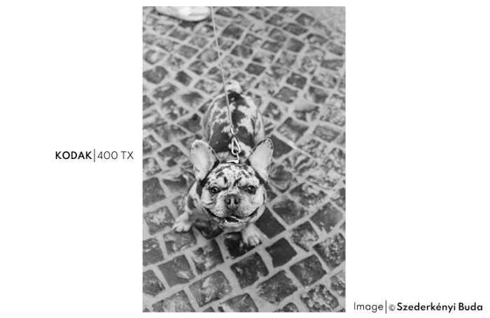 400TX6
