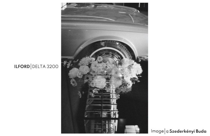 DELTA32003