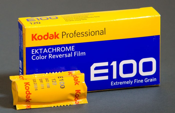 Kodak_e100_120