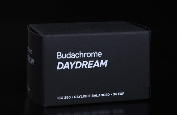 daydream5