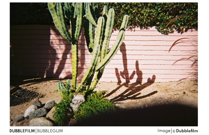 dubblefilm_bubblegum7