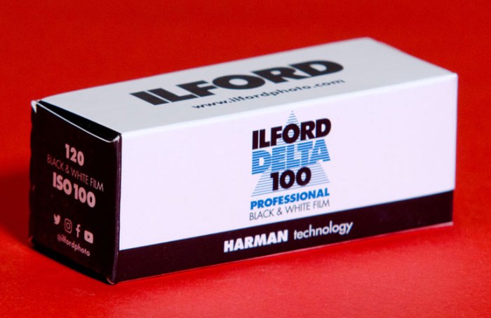 ilford-delta-100-1207