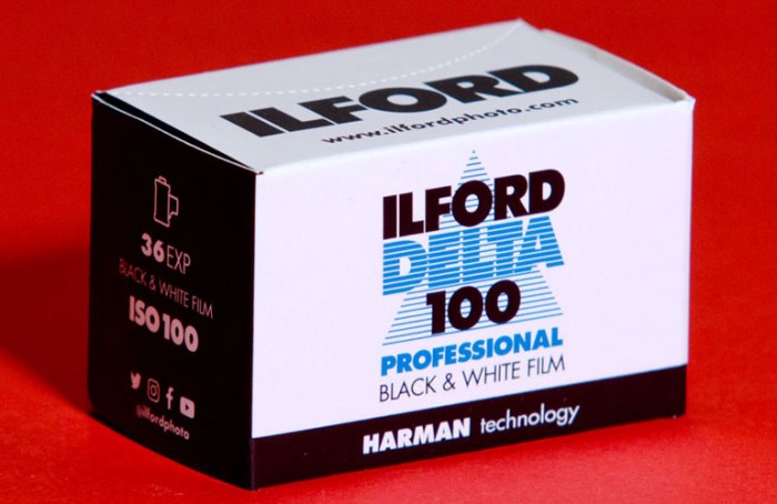 ilford-delta-100-365