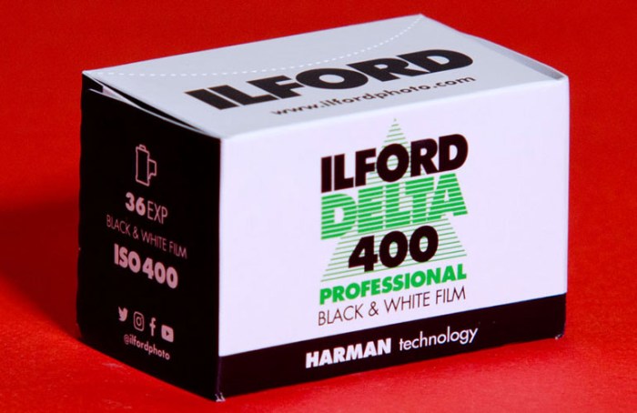 ilford-delta-400-365