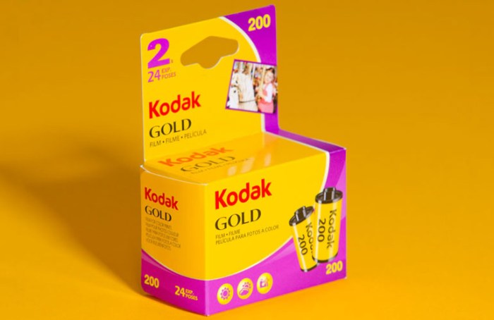 kodak-gold-200-24-2pack1