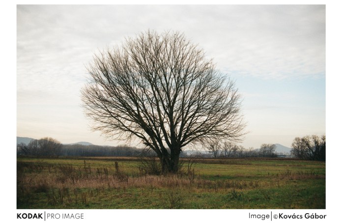 proimage_19