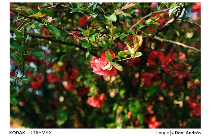 ultramax_23
