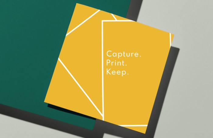webcapture2